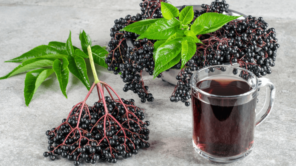 Fruit sureau