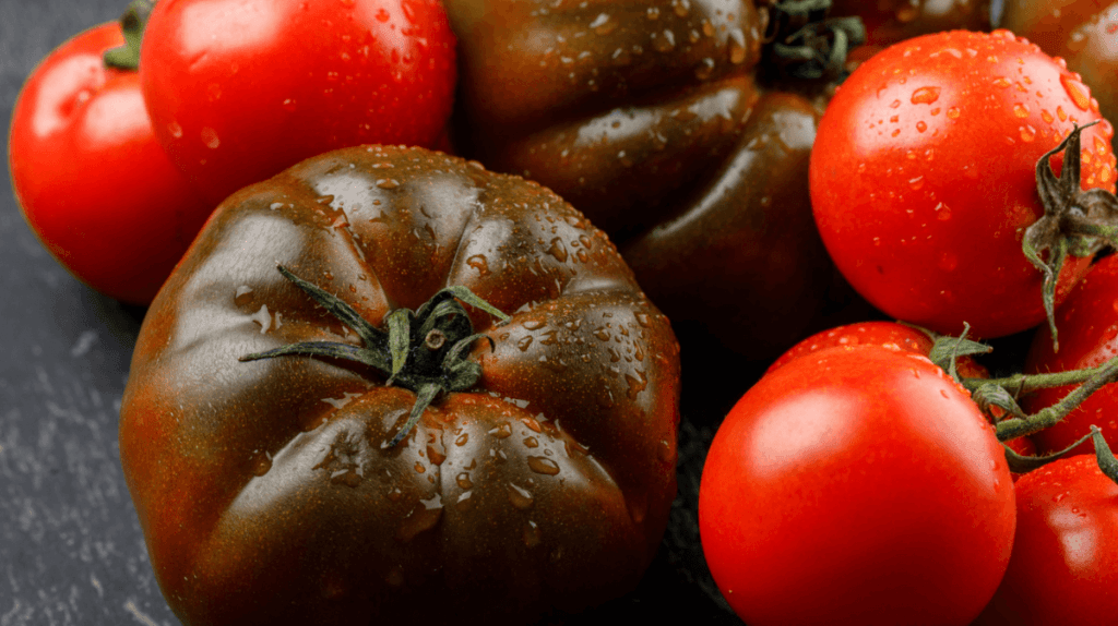 plusieurs tomates
