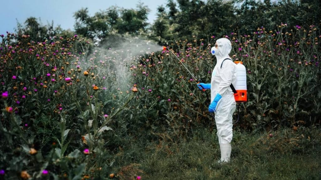 dosage glyphosate