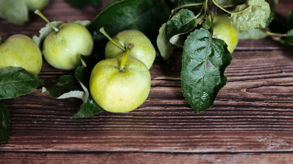 zabergau fruit en z