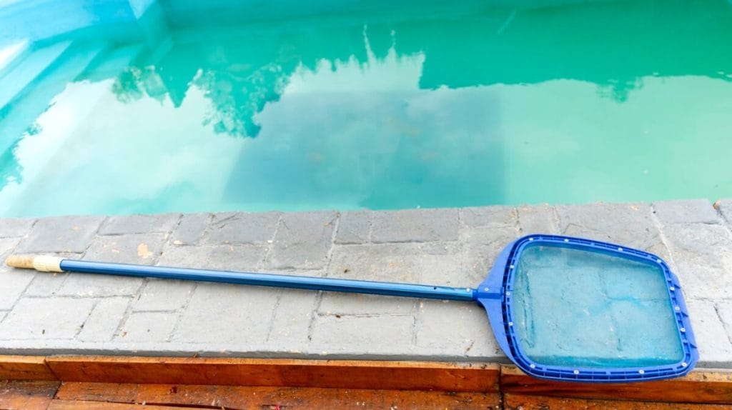 Algue moutarde piscine
