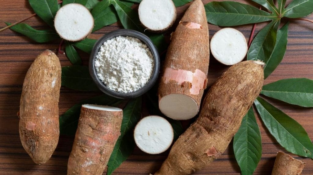 légume en m manioc