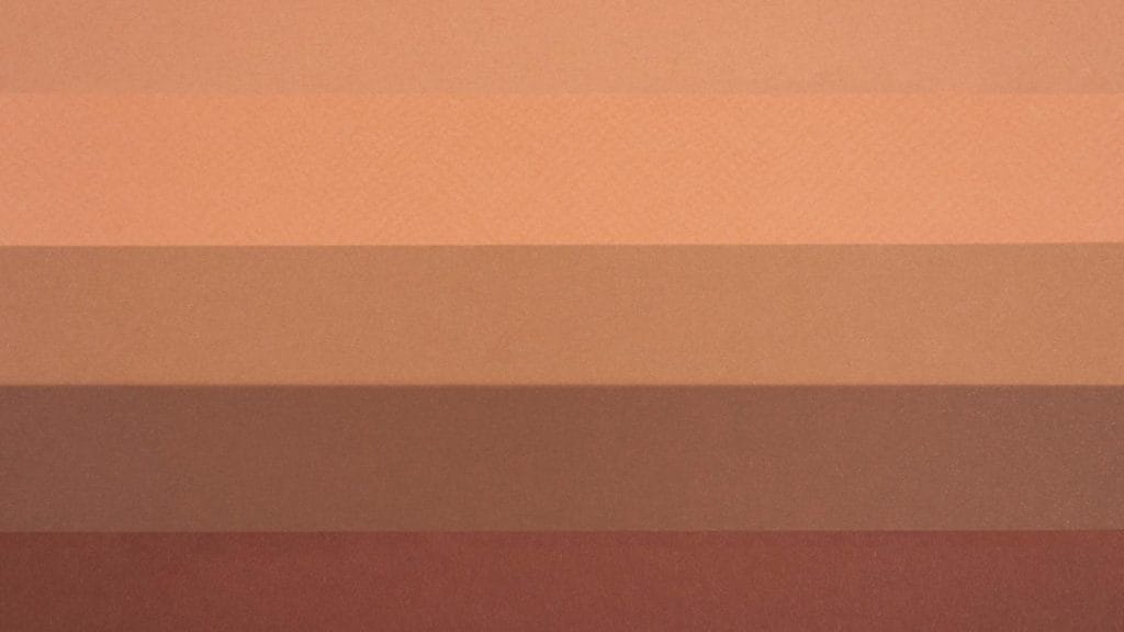 fauve couleur
