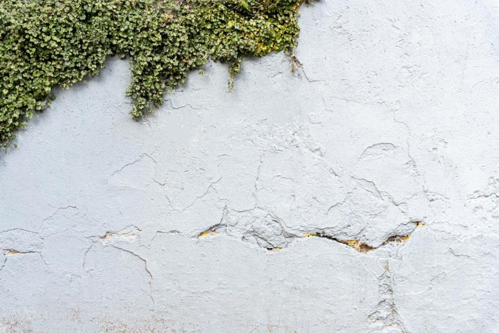 comment reparer un crepi exterieur qui se decolle