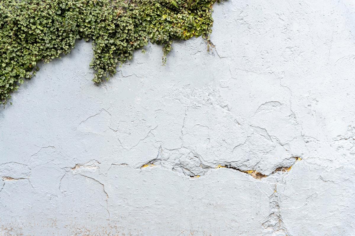 comment reparer un crepi exterieur qui se decolle