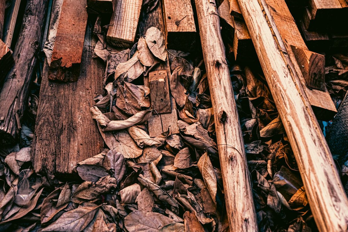 albizia bois de chauffage