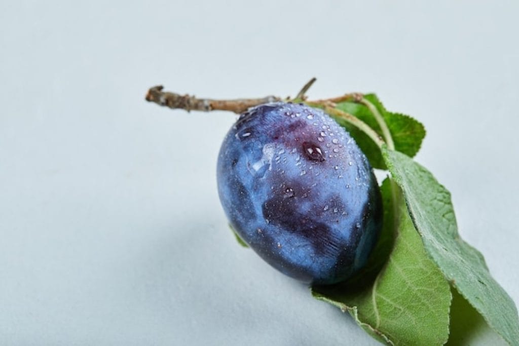 prune sauvage