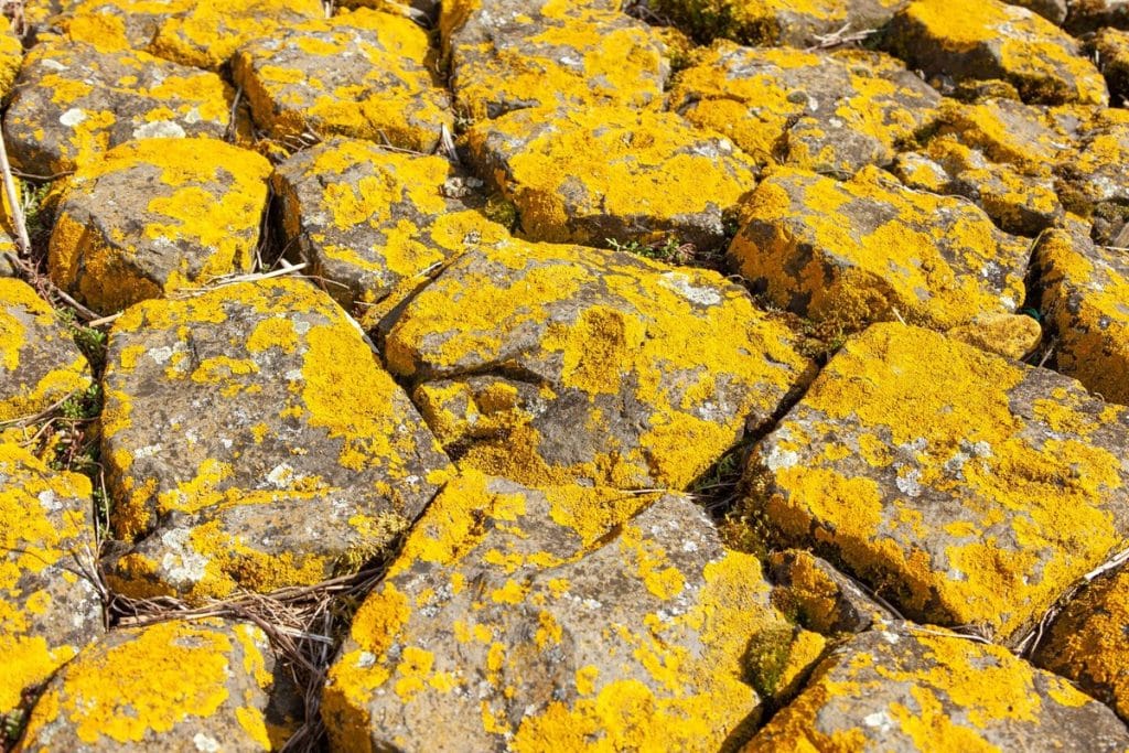 radioactivité granit