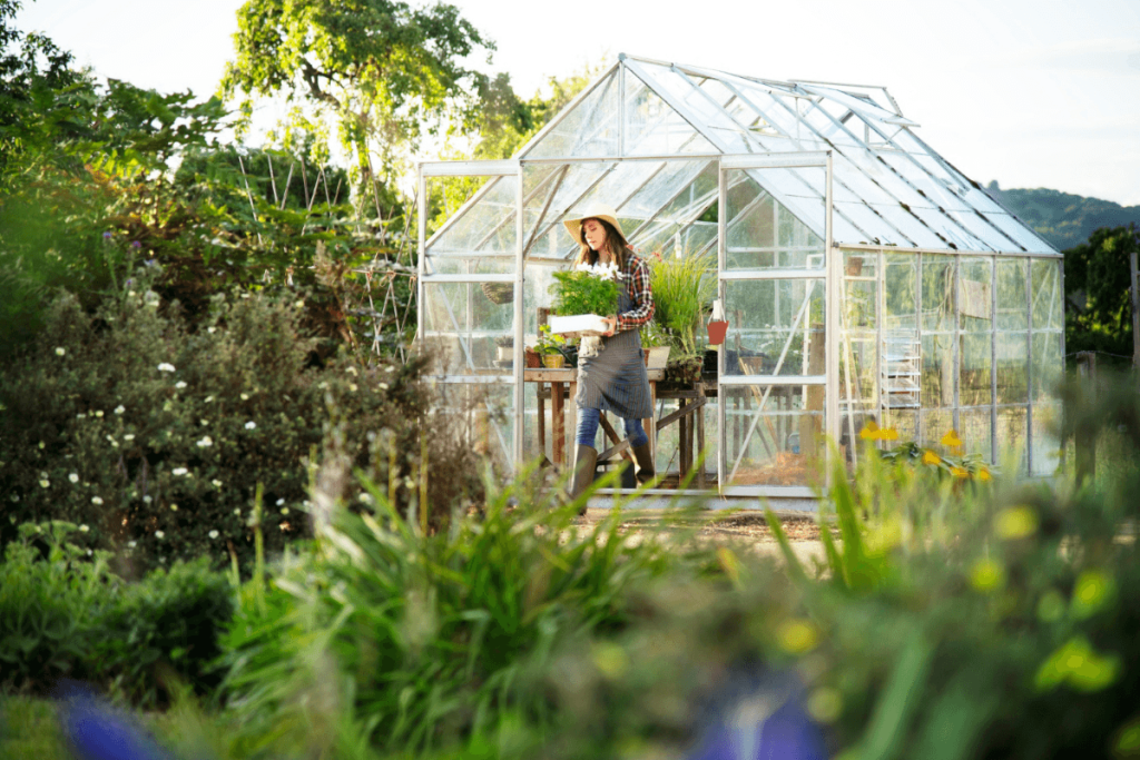 serre de jardin professionnelle
