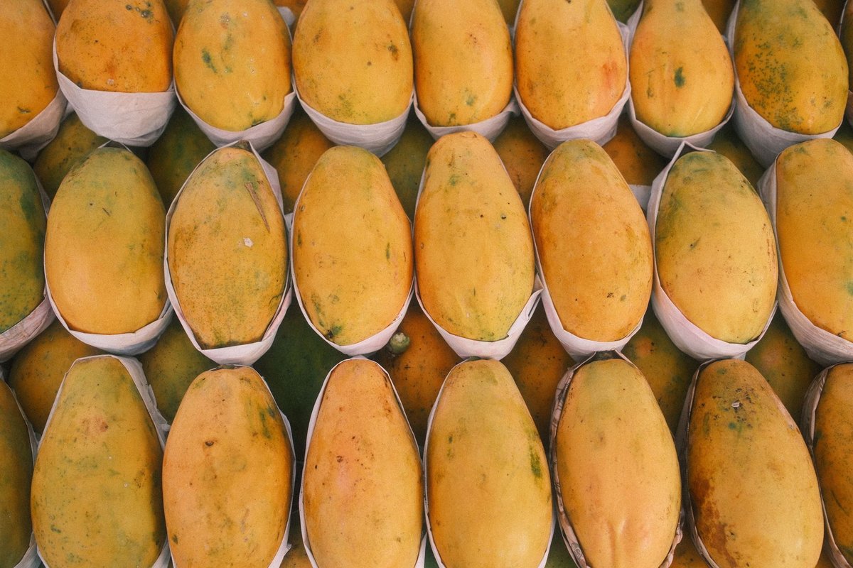 noyau mangue
