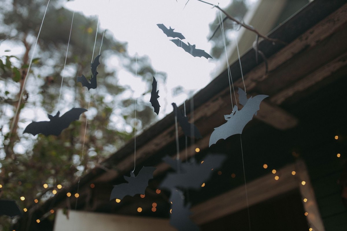 une chauve-souris dans ma maison signification