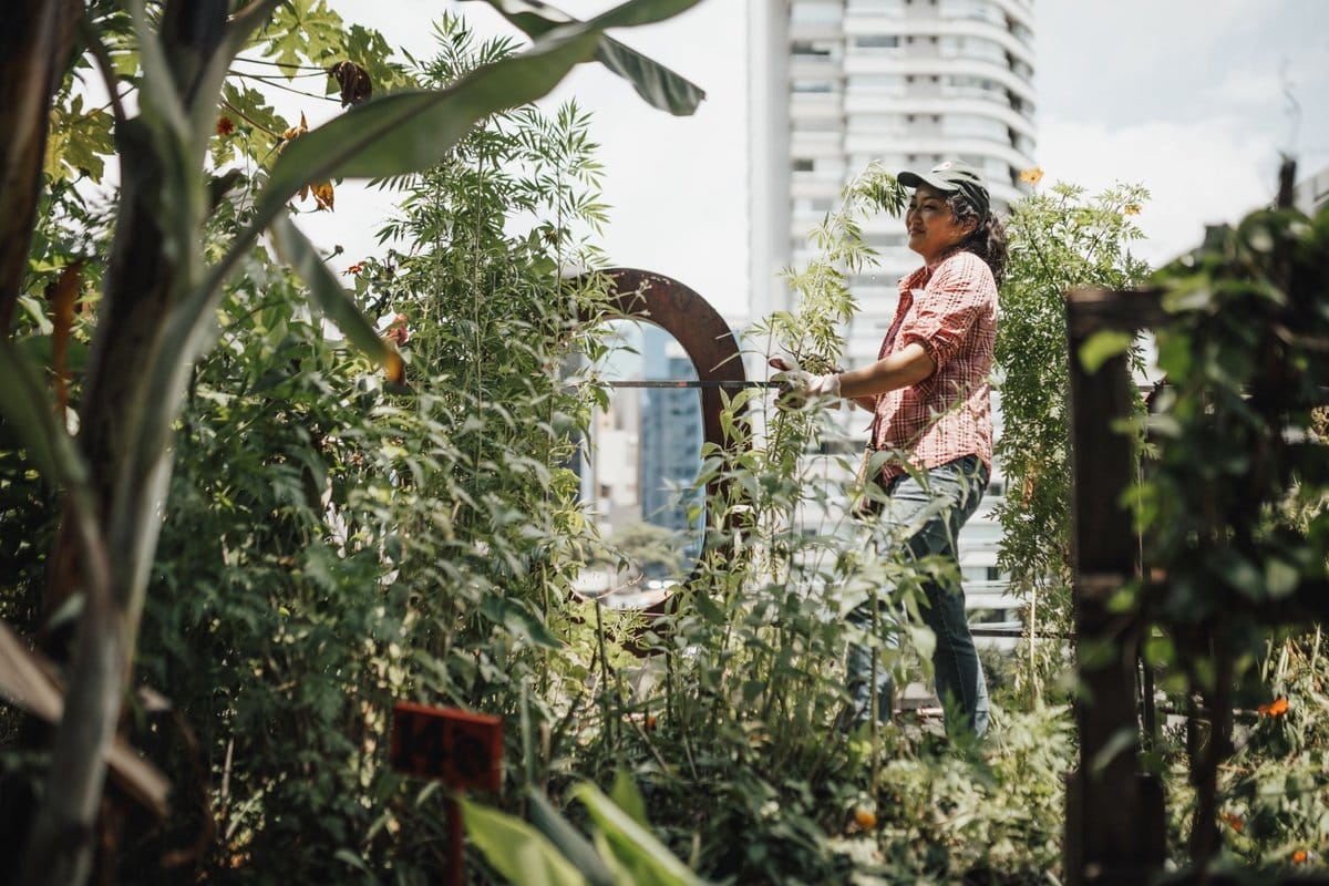 potager city