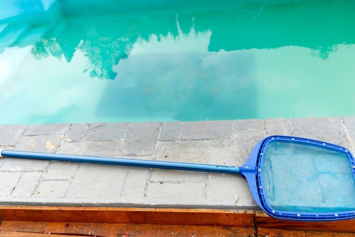 Algue moutarde piscine