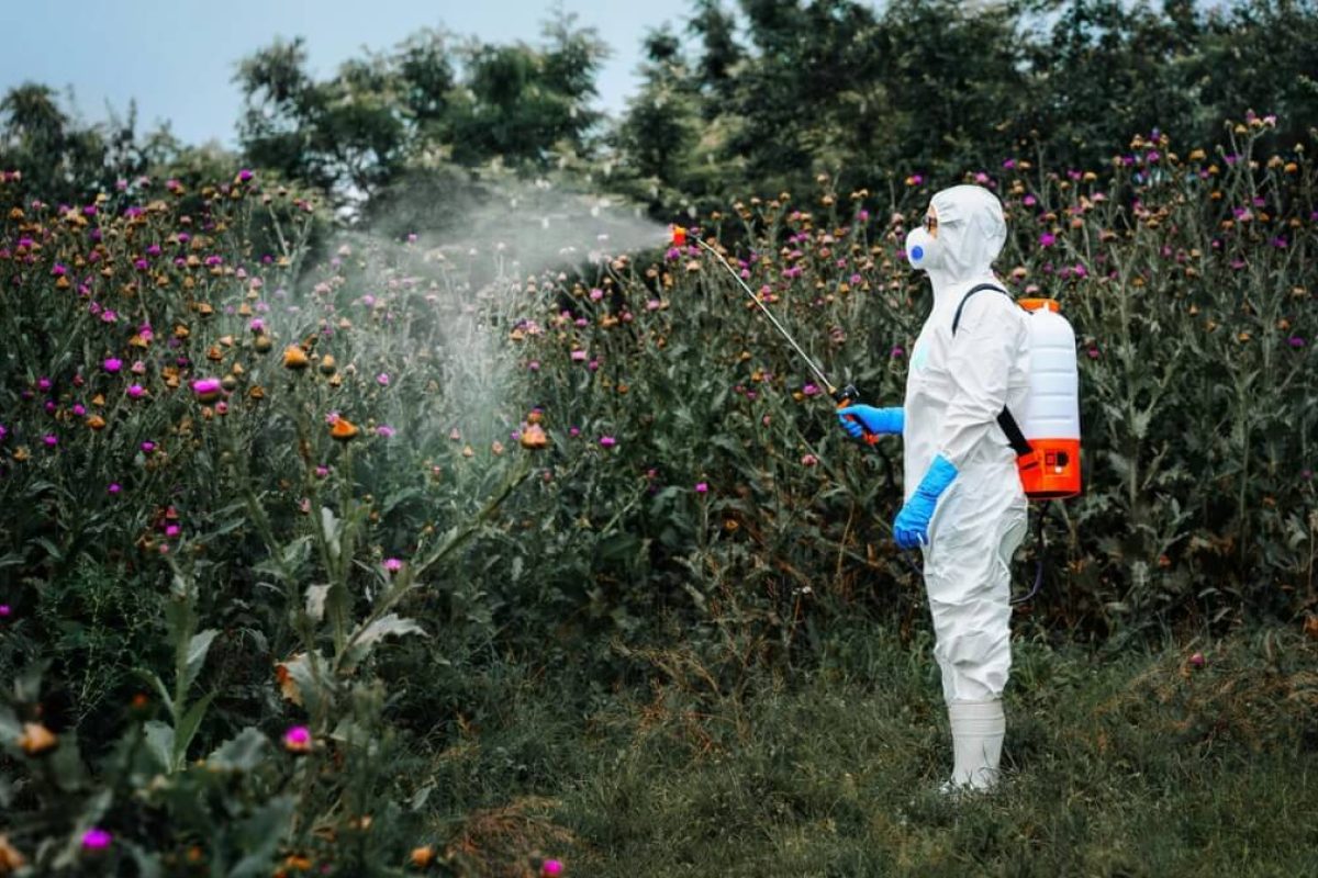 dosage glyphosate