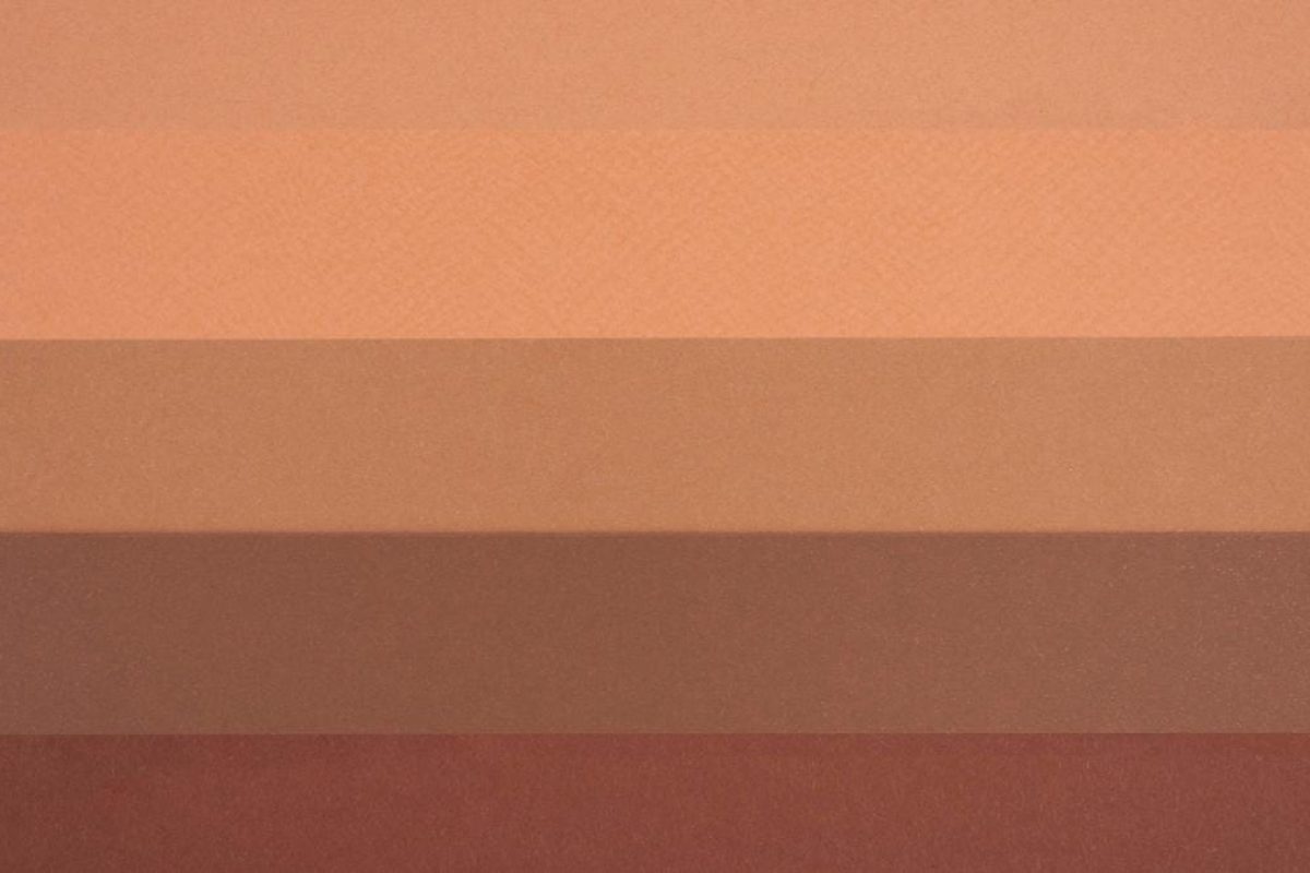 fauve couleur