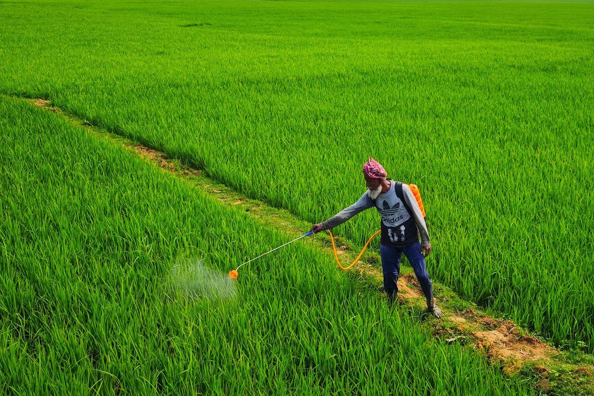 glyphosate espagne 5 litres