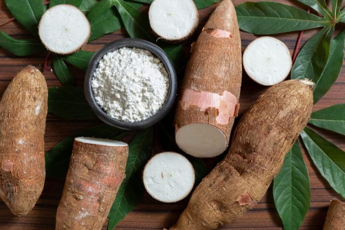 légume en m manioc