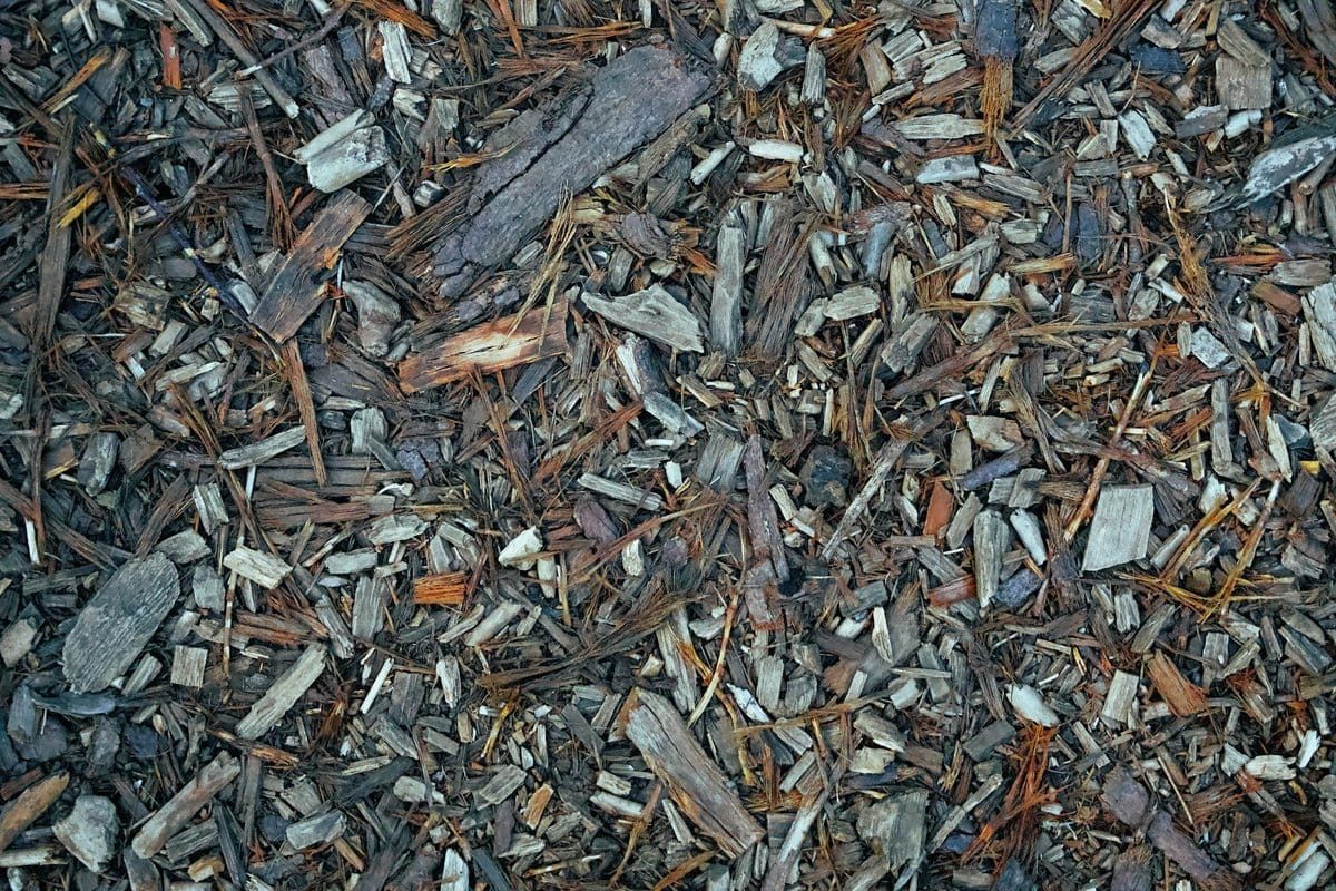 paillage ardoise inconvénient