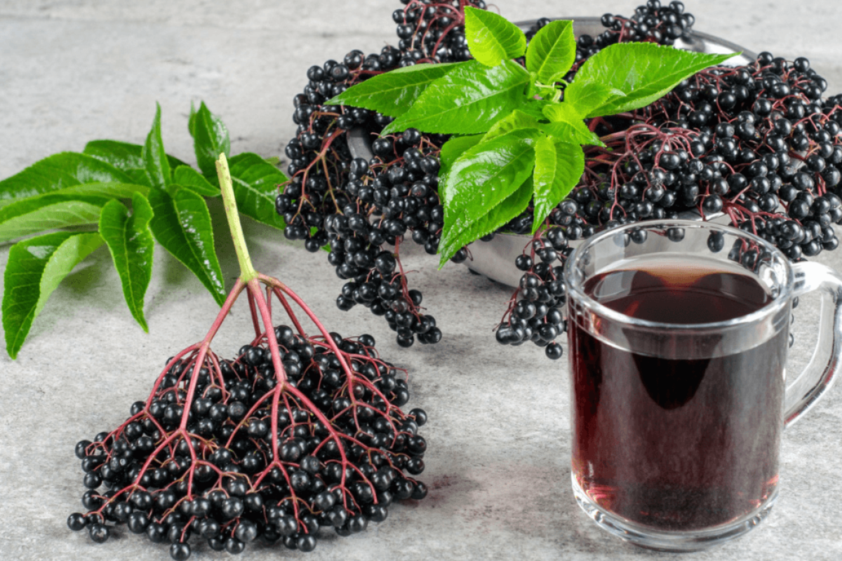Fruit sureau